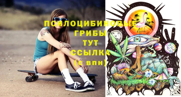 мет Рославль