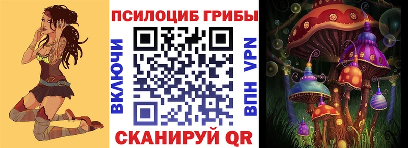 наркотики  Белокуриха  Галлюциногенные грибы Cubensis 